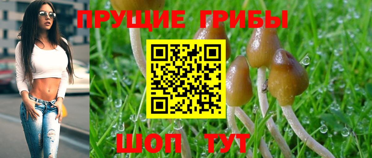 Псилоцибиновые грибы Psilocybine cubensis  Вход с VPN  Анапа 